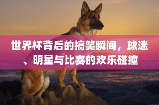 世界杯背后的搞笑瞬间，球迷、明星与比赛的欢乐碰撞