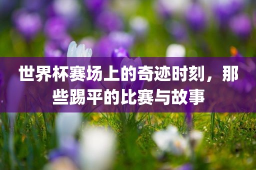 世界杯赛场上的奇迹时刻，那些踢平的比赛与故事漯河市盈旭机械设备有限公司