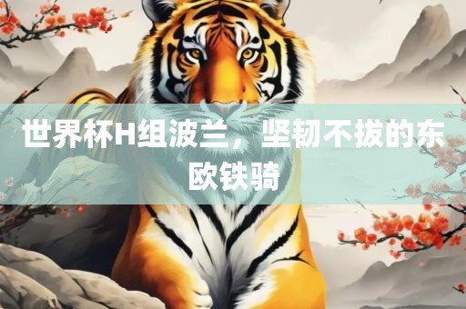 世界杯H组波兰，坚韧不拔的东欧铁骑漯河市盈旭机械设备有限公司