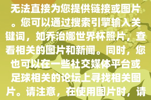 关于乔治娜的世界杯照片，我无法直接为您提供链接或图片。您可以通过搜索引擎输入关键词，如乔治娜世界杯照片，查看相关的图片和新闻。同时，您也可以在一些社交媒体平台或足球相关的论坛上寻找相关图片。请注意，在使用图片时，请遵守版权法规。漯河市盈旭机械设备有限公司