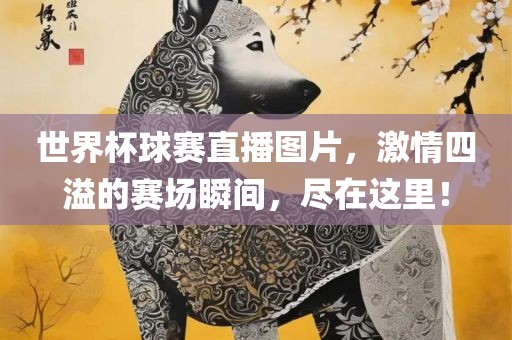 世界杯球赛直播图片，激情四溢的赛场瞬间，漯河市盈旭机械设备有限公司尽在这里！