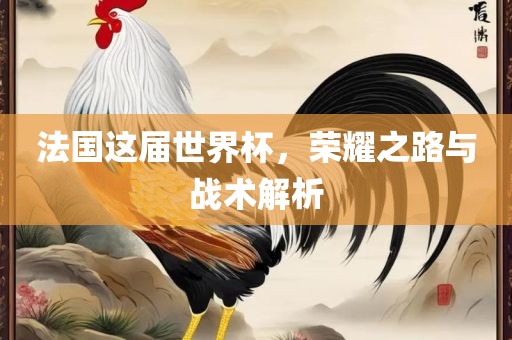 法国这届世界杯，荣耀之路与战术解析