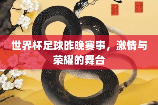 世界杯足球昨晚赛事，激情与荣耀的舞台
