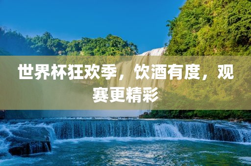 世界杯狂欢季，饮酒有度，观赛更精彩
