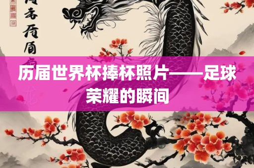 历届世界杯捧杯照片——足球荣耀的瞬间漯河市盈旭机械设备有限公司