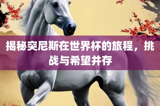 揭秘突尼斯在世界杯的旅程，挑战与希望并存
