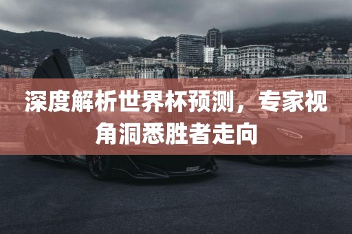深度解析世界杯预测，专家视角洞悉胜者走向