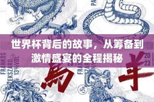 世界杯背后的故事，从筹备到激情盛宴的全程揭秘