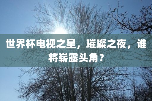世界杯电视之星，璀璨之夜，谁将崭露头角？