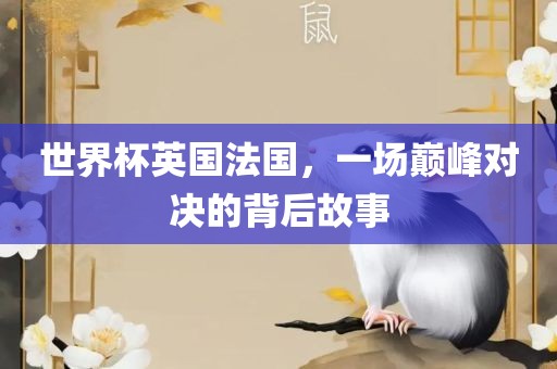 世界杯英国法国，一场巅峰对决的背后故事