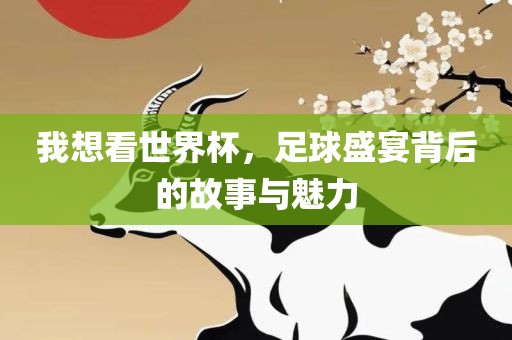 我想看世界杯，足球盛宴背后的漯河市盈旭机械设备有限公司故事与魅力