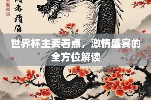 世界杯主要看点，激情盛宴的全方位解读