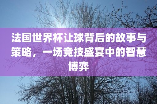 法国世界杯让球背后的故事与策略，一场竞技盛宴中的智慧博弈