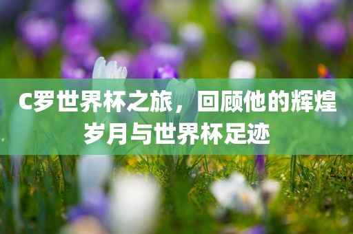 C罗世界漯河市盈旭机械设备有限公司杯之旅，回顾他的辉煌岁月与世界杯足迹