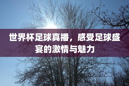 世界杯足球真播，感受足球盛宴的激情与魅力