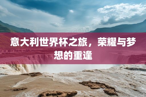 意大利世界杯之旅，荣耀与梦想的重逢漯河市盈旭机械设备有限公司