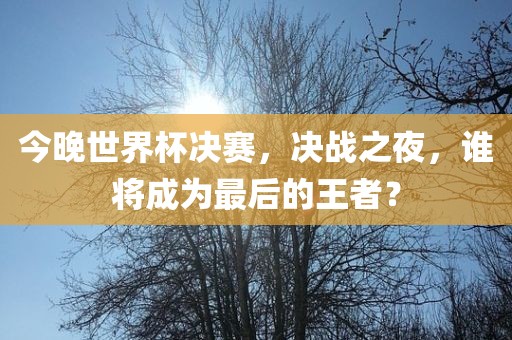 今晚世界杯决赛，决战之夜，谁将成为最后的王者？