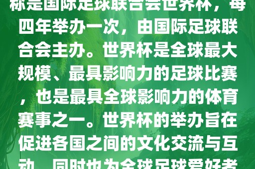 世界杯是一项国际足球赛事，全称是国际足球联合会世界杯，每四年举办一次，由国际足球联合会主办。世界杯是全球最大规模、最具影响力的足球比赛，也是最具全球影响力的体育赛事之一。世界杯的举办旨在促进各国之间的文化交流与互动，同时也为全球足球爱好者带来一场精彩的足球盛宴。