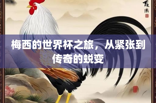梅西的世界杯之旅，从紧张到传奇的蜕变