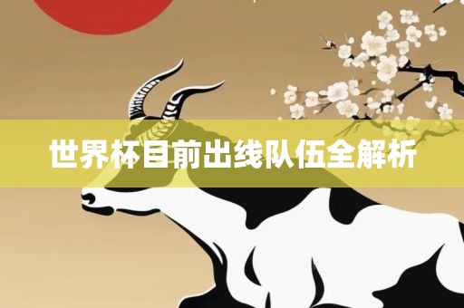 世界杯目前出线队伍全解析