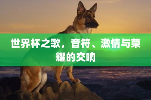 世界杯之歌，音符、激情与荣耀的交响