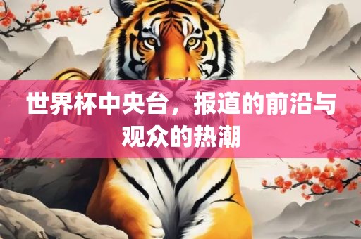 世界杯中央台，报道的前沿与观众的热潮