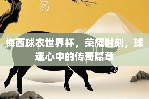 梅西球衣世界杯，荣耀时刻，球迷心中的传奇篇章