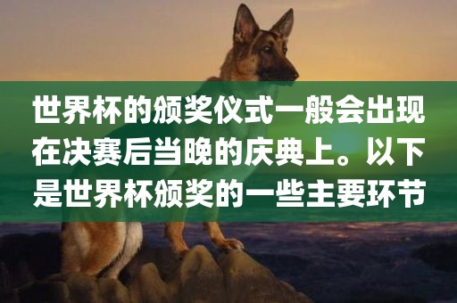 世界杯的颁奖仪式一般会出现在决赛后当晚的庆典上。以下是世界杯颁奖的一些主要环节