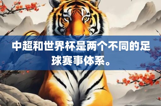 中超和世界杯是两个不同的足球赛事体系。