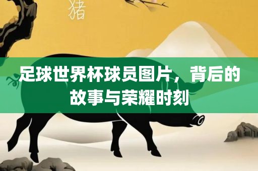 足球世界杯球员图片，背后的故事与荣耀时刻