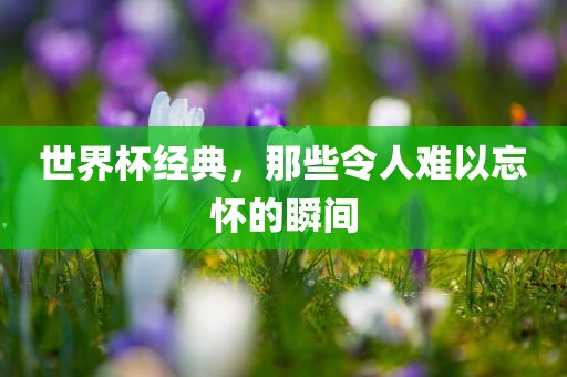 世界杯经典，那些令人难以忘怀的瞬间漯河市盈旭机械设备有限公司