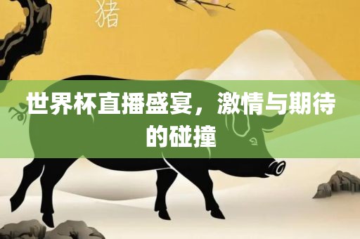 世界杯直播盛宴，激情与期待的碰撞