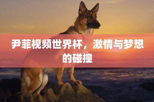 尹菲视频世界杯，激情与梦想的碰撞