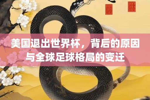 美国退出世界杯，背后的原因与全球足球格局的变迁