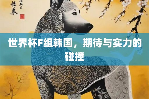 世界杯F组韩国，期待与实力的碰撞