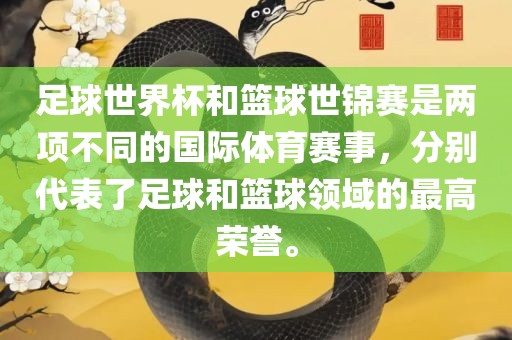 足球世界杯和篮球世锦赛是两项不同的国际体育赛事，分别代表了足球和篮球领域的最高荣誉。