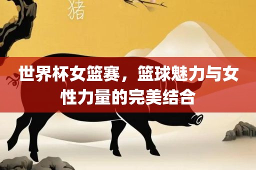 世界杯女篮赛，篮球魅力与女性力量的完美结合