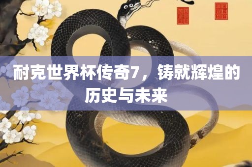 耐克世界杯传奇7，铸就辉煌的历史与未来