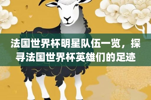 法国世界杯明星队伍一览，探寻法国世界杯英雄们的足迹