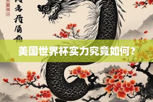 美国世界杯实力究竟如何？