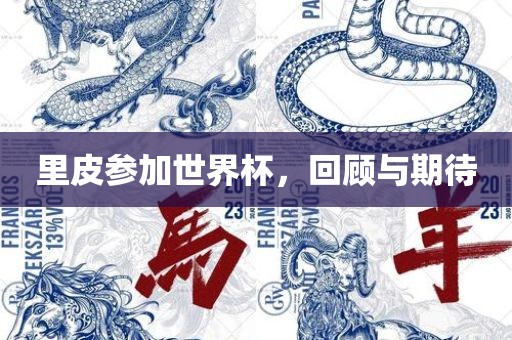 里皮参加世界杯，回顾与期待