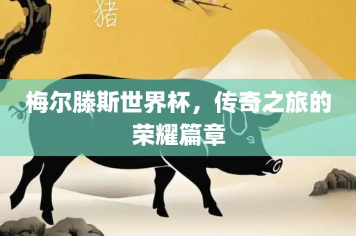 梅尔滕斯世界杯，传奇之旅的荣耀篇章