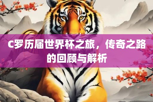 C罗历届世界杯之旅，传奇之路的回顾与解析