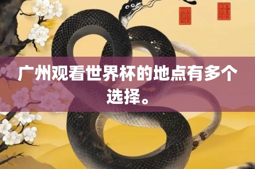 广州观看世界杯的地点有多个选择。