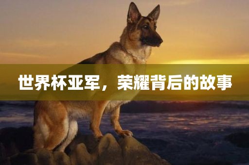 世界杯亚军，荣耀背后的故事