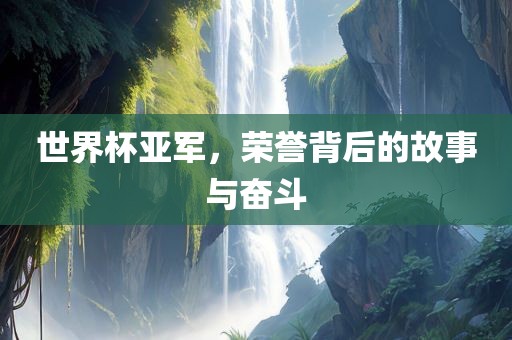世界杯亚军，荣誉背后的故事与奋斗