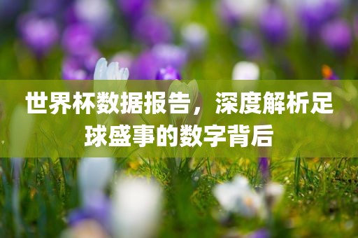 世界杯数据报告，深度解析足球盛事的数字背后