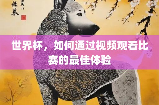 世界杯，如何通过视频观看比赛的最佳体验