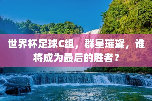 世界杯足球C组，群星璀璨，谁将成为最后的胜者？