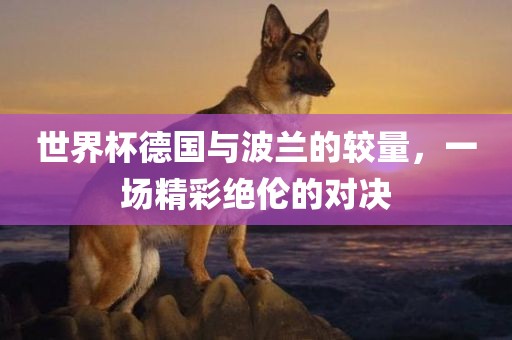 世界杯德国与波兰的较量，一场精彩绝伦的对决